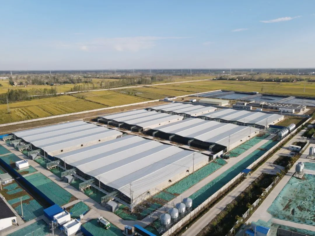 圖片12.png 圖片12.png