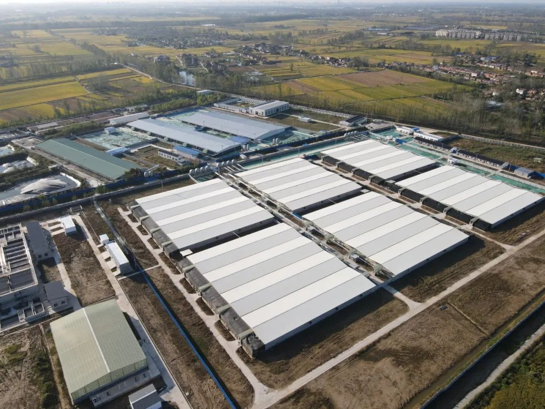 圖片11.png 圖片11.png