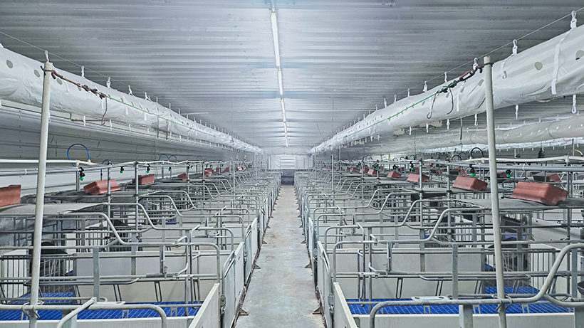 d48d80358172b672653e23d0723c6e9 拷貝.jpg