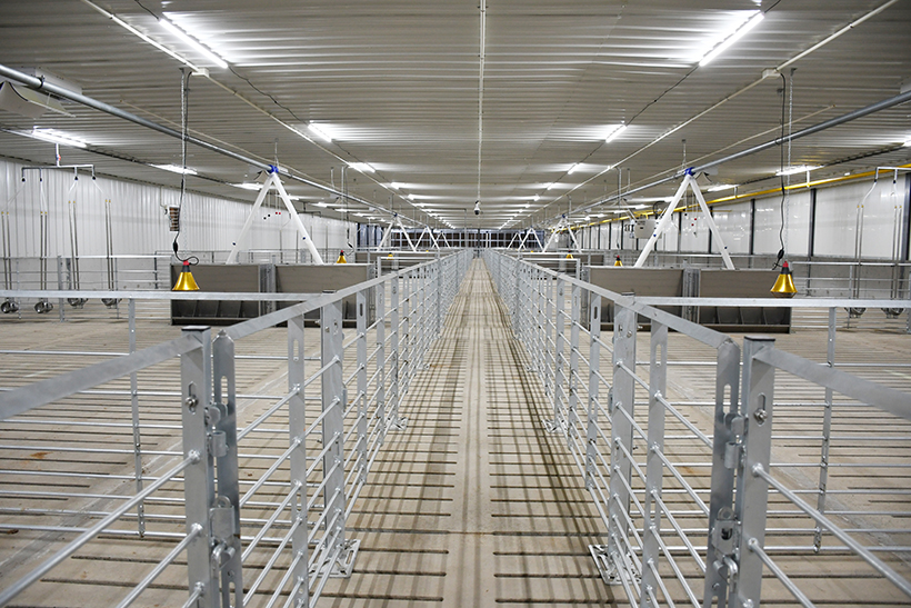 DSC_0139_01 拷貝.jpg DSC_0139_01 拷貝.jpg