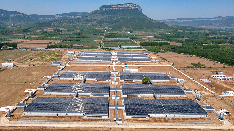 選用航拍圖.JPG 選用航拍圖.JPG